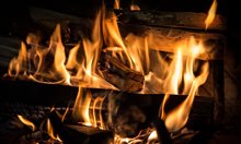 Мъж от Сливен запали гнездо с оси, обгоря той самият