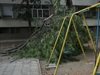 Клон падна върху площадка в Ямбол, пълна с деца (Видео)