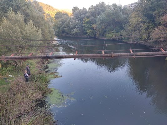 Вирът над въжения мост в Своге привлича рибарите
Снимка: Авторът