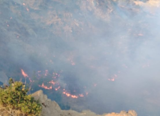 Пожарът в Свиленградско обхвана площ над 100 000 декара Снимка: Фейсбук/ Иван Иванов