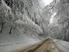 Тирове аварираха в ломското село Добри дол (Снимки)