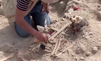 Работници откриха осем мумии от времето на инките в Перу