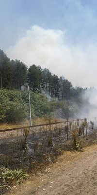 Пожар продължава да бушува край Розино
