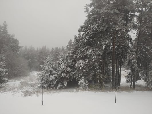 хижа "Върховръх"
снимка: Фейсбук/Диана Митко Трънски