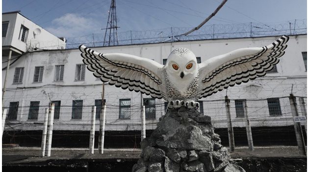 Скулптура на сова стои пред колонията "Полярна сова".