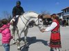 В село Първомайци ще отбележат Тодоровден с мъжка сватба и кушии с коне