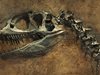 Момче откри 11 динозавърски яйца на </p><p>66 милиона години в Китай