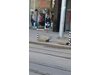 Любовник изостави луда американка боса и без гащи пред хотел в центъра на София