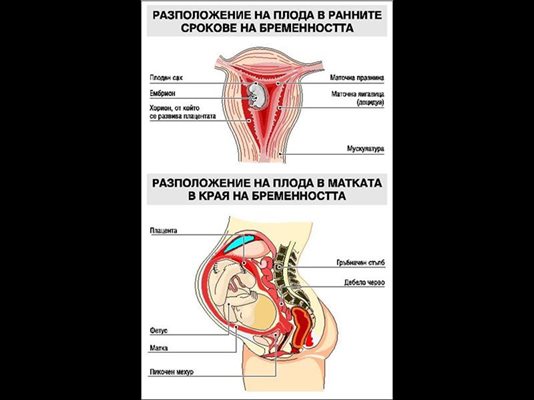 секс интим знакомства в Междуреченске