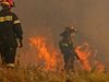 Откриха иманярско съкровище при горски пожар в Гърция