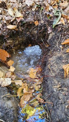 Водата ще служи за напояване на диви животни