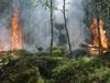 Мълнии подпалиха два горски пожара на гръцкия остров Тасос
