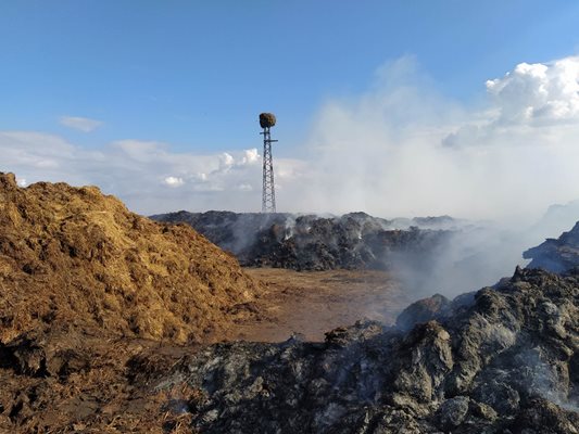 Сметище с оборски тор в Маноле гори, пушекът се носи из Пловдив, в селото рипат хоро (Видео)