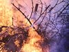 Горски пожар бушува на гръцкия остров Пелопонес