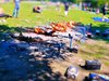 Полиция разтури Гергьовден с 12 агнета на чеверме в берлински парк