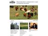МЗХ публикува проект на Наредба за реда за одобряването на типа и надзора на пазара на земеделски и горски превозни средства