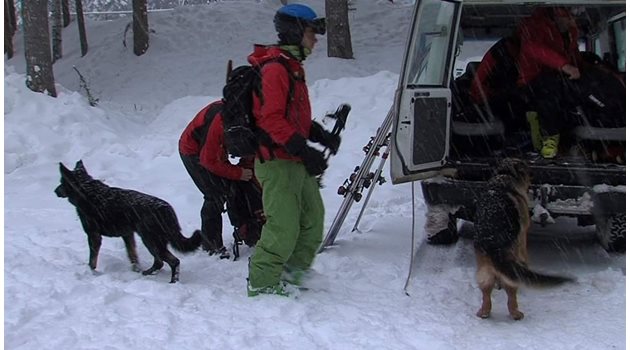 Планинските спасители от Благоевград, Банско, Разлог и София издирват изчезналия сноубордист.