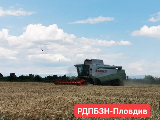 Жътвата в Пловдивска област продължава.