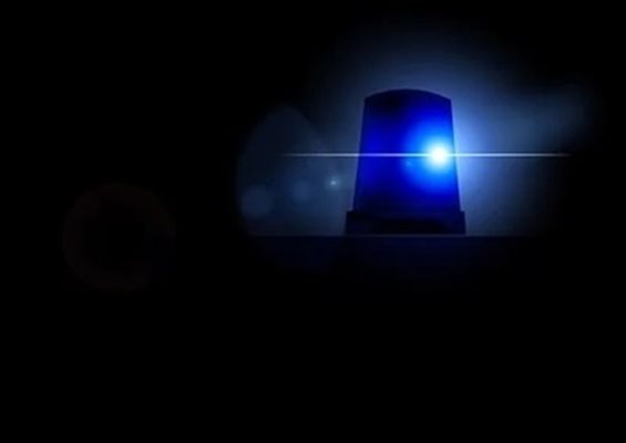 Ломските полицаи заловили млад мъж, пребил свой познат след люта свада СНИМКА: Pixabay