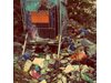 Община Дупница е изправена пред криза с
боклука, ако не намери нов терен за
сметище