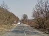 Паднало дърво на пътя Веселиново - Смядово затруднява движението