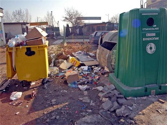 С промени в наредбите екоминистерството планира да забрани на организациите, които събират отпадъци разделно, да изтеглят кофите си.
СНИМКА: "24 ЧАСА