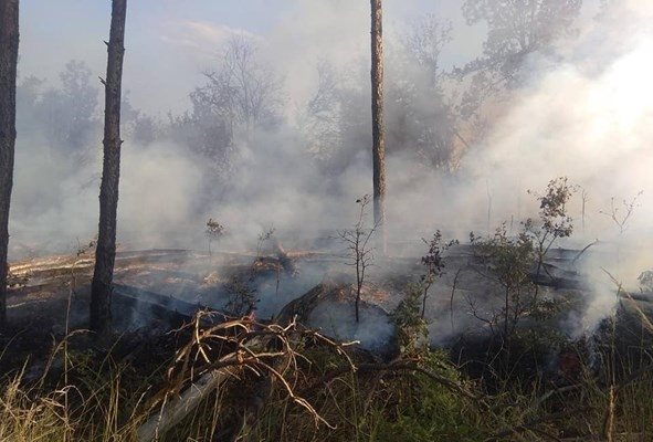 Задимяване заради пожар затрудни движението по пътя Пловдив-Карлово