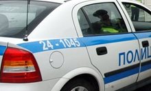 Шофьор опита да подкупи полицаи в Луковит - возел нелегално два коня