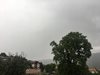 Десетки сигнали за паднали клони след бурята в София
