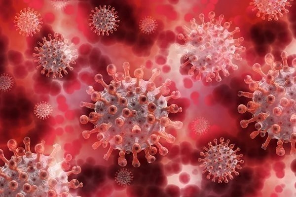 Един е заразен с коронавирус у нас за последното денонощие