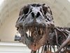 Откриха фосили от зъби на динозаври във Великобритания
