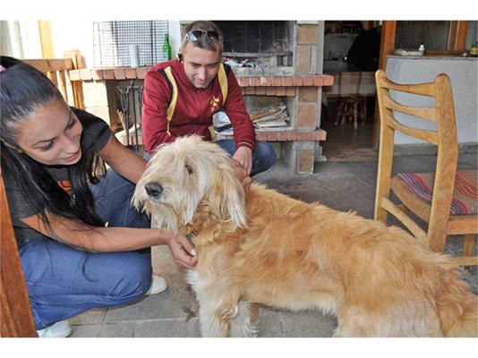 Бенджи посреща шефката на Animal rescue Sofia Надя Станчева в новия си дом.