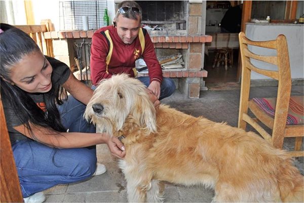 Бенджи посреща шефката на Animal rescue Sofia Надя Станчева в новия си дом.