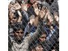 ООН призова за допълнителни над 4,6 милиарда долара за сирийските бежанци в съседните на Сирия страни