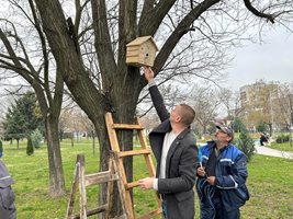 Кметът на района Димитър Колев (вляво) поставя една от къщичките за птици.