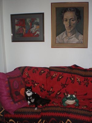 Котката Крики се диви на жабата под портрета на Радичков.