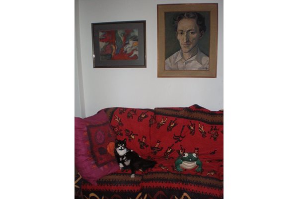 Котката Крики се диви на жабата под портрета на Радичков.