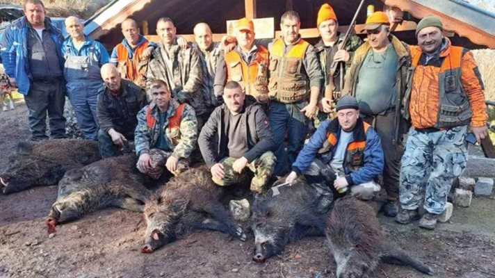 Повечето диви прасета дават повече възможности на ловците за отстрел