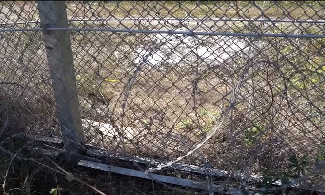 Дупки има из цялата ограда по границата.