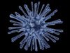 Австралия и Малайзия с първи случаи на китайския коронавирус