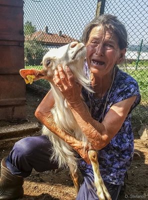 Баба Тодора е на 68 г. от с. Шарково. Има кози, гледа и агнета. Всички нейни животни трябва да бъдат евтаназирани.