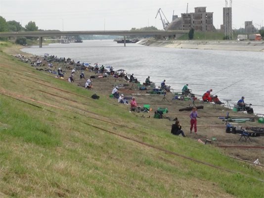 Кадър от европейското първенство в Нови Сад