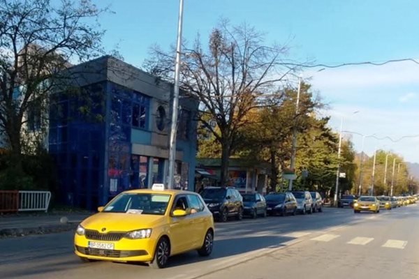 Врачанските таксита се включиха днес в националния протест Снимка: Валери Ведов