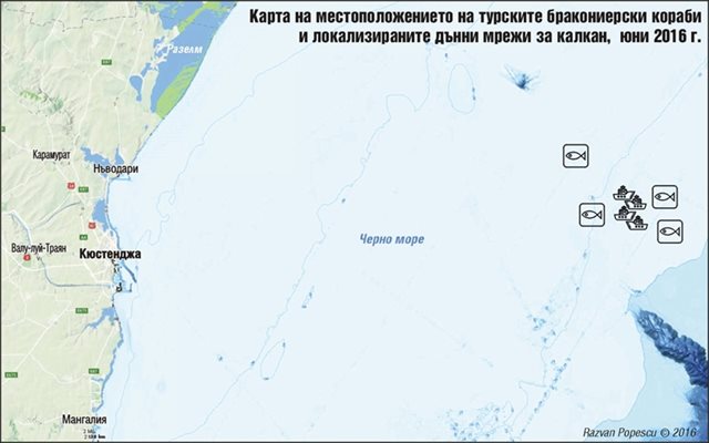 Делфините загиват от мрежи с око 20 см край украинския Змийски остров