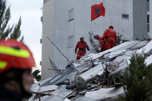 В Хърватия посрещнаха с почести кучетата спасители, пратени в Албания