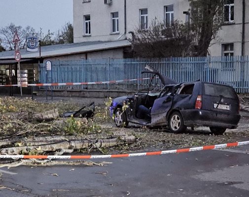 Паднало заради силния вятър в столицата, уби мъж в кола на бул. "Илиянци". Снимки Катастрофи в София/Велизар Чакалов