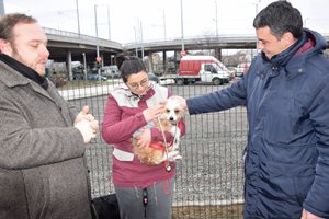 Откриха нова кучешка площадка в район "Централен"