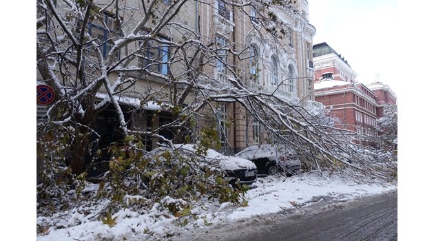 Бурята в София изненада общинарите.

СНИМКА: НИКОЛАЙ ЛИТОВ