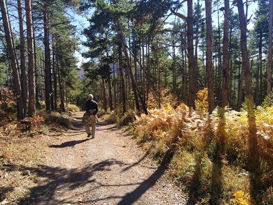 Районът около Кръстова гора, където е открита жената в труднодостъпен терен.