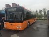 Пускат безплатни автобуси до Гробищния
парк в Търново за Черешова задушница